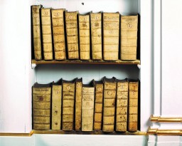 Bücher im Rokokosaal der Herzogin Anna Amalia Bibliothek